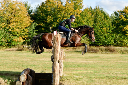 Gelände CCI**