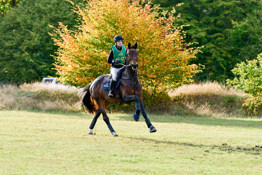 Bad Segeberg  09.10.2022 | 09102022 - XC CCI++ _615 