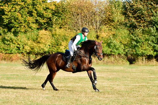 Bad Segeberg  09.10.2022 | 09102022 - XC CCI++ _651 