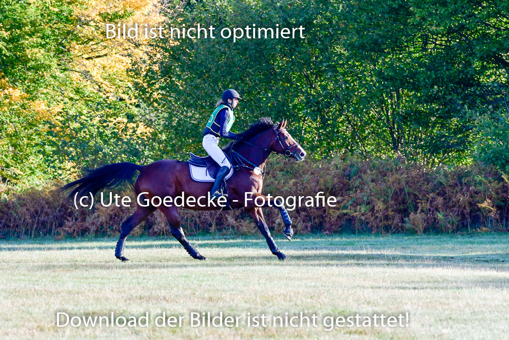  | 09102022 XC A++_071 