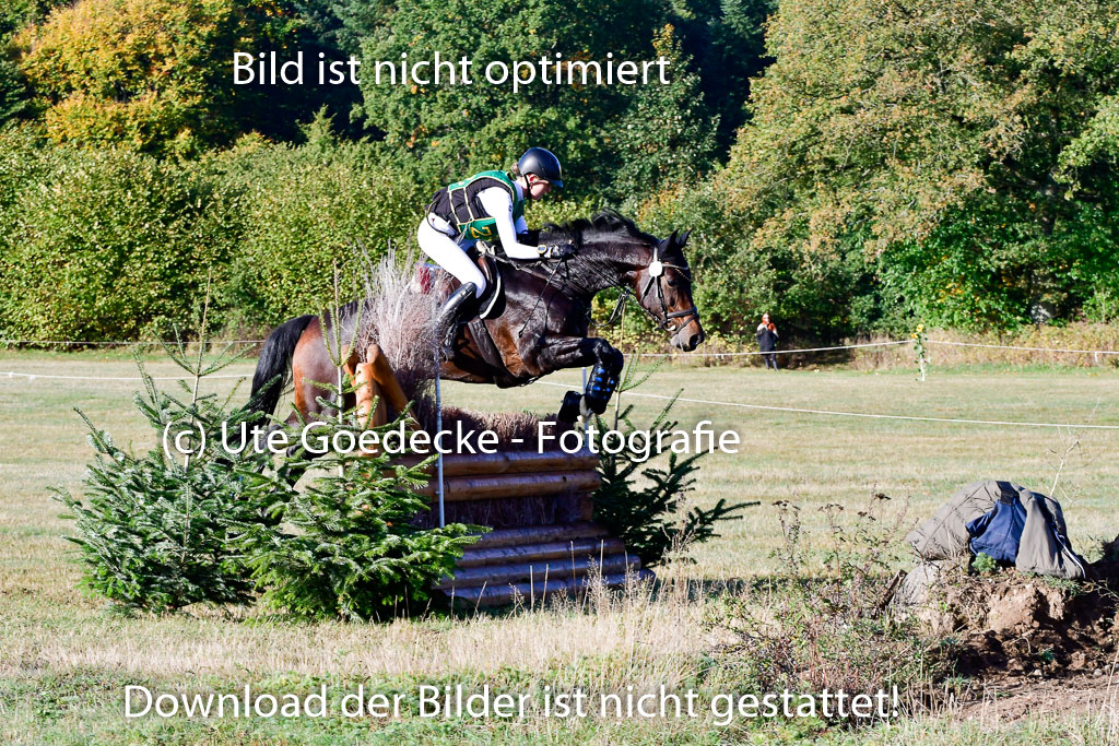  | 09102022 XC A++_101 