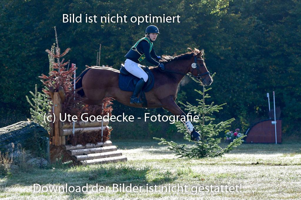  | 09102022 XC A++_117 