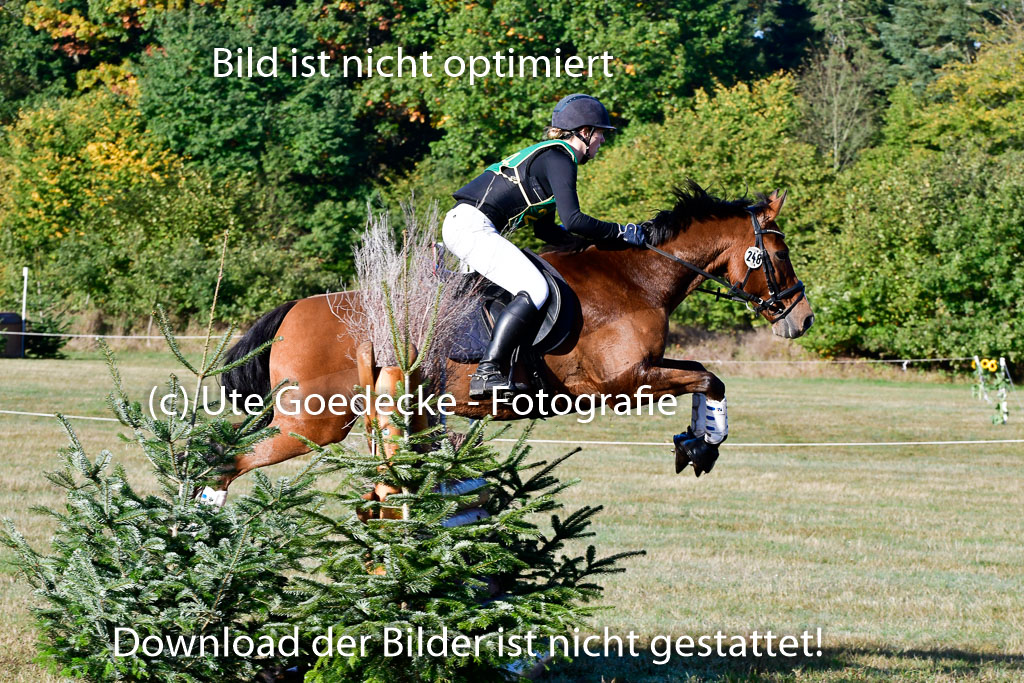  | 09102022 XC A++_120 