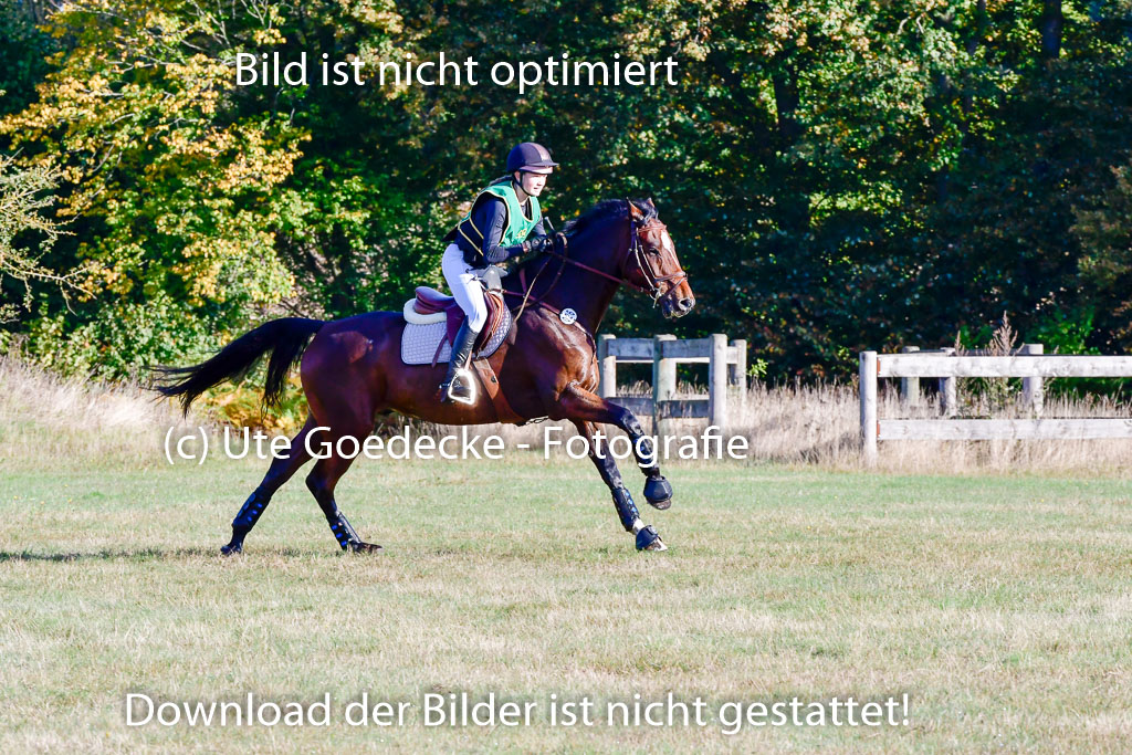  | 09102022 XC A++_195 