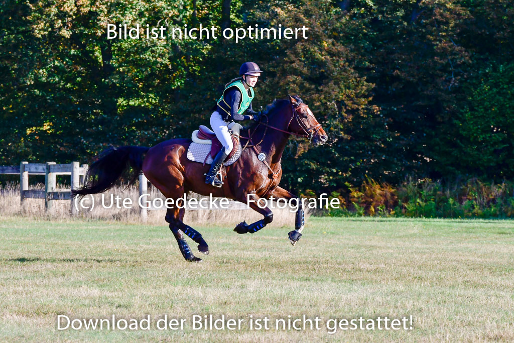  | 09102022 XC A++_196 