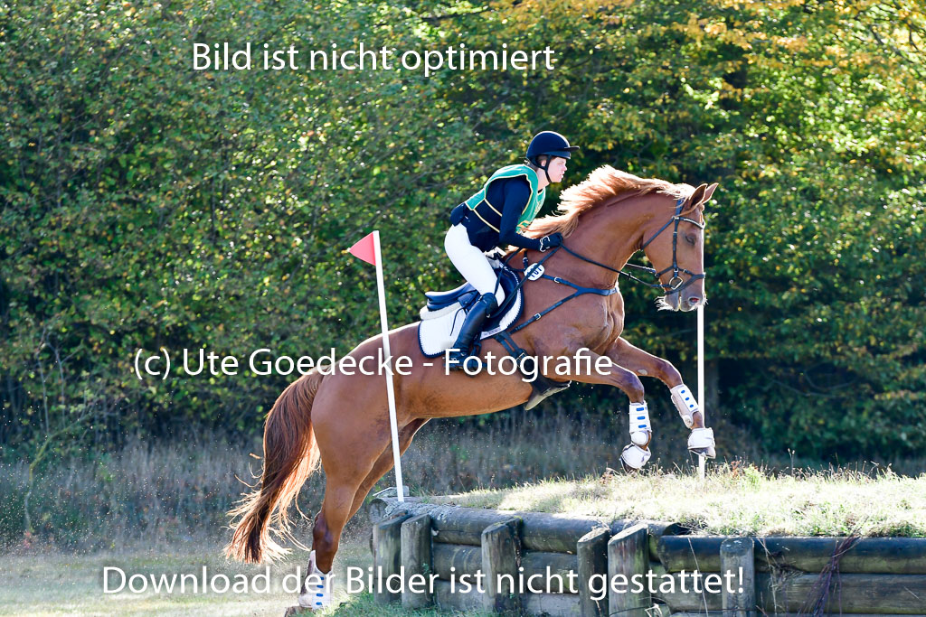  | 09102022 XC A++_446 