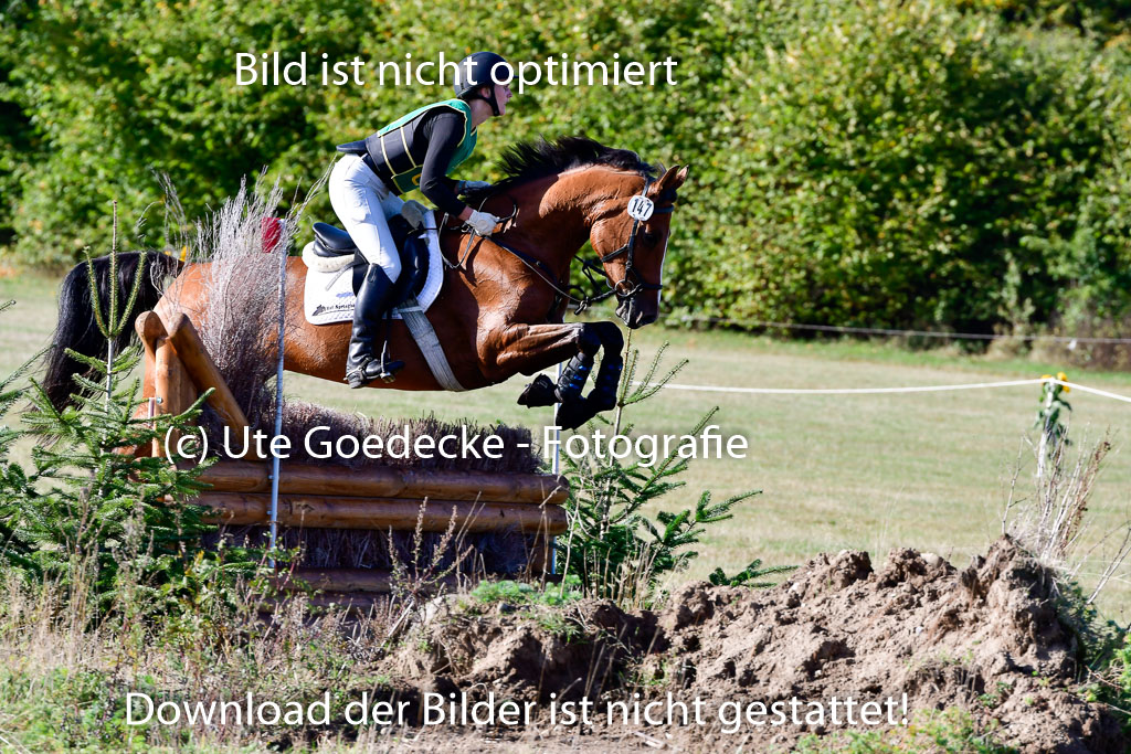  | 09102022 XC A++_542 