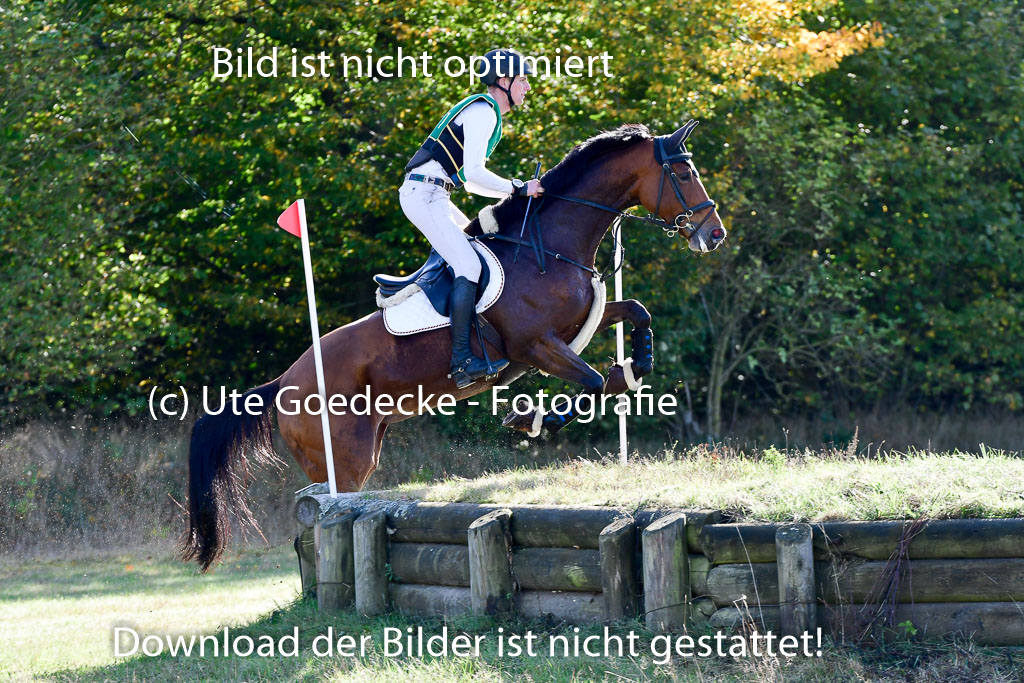  | 09102022 XC A++_686 