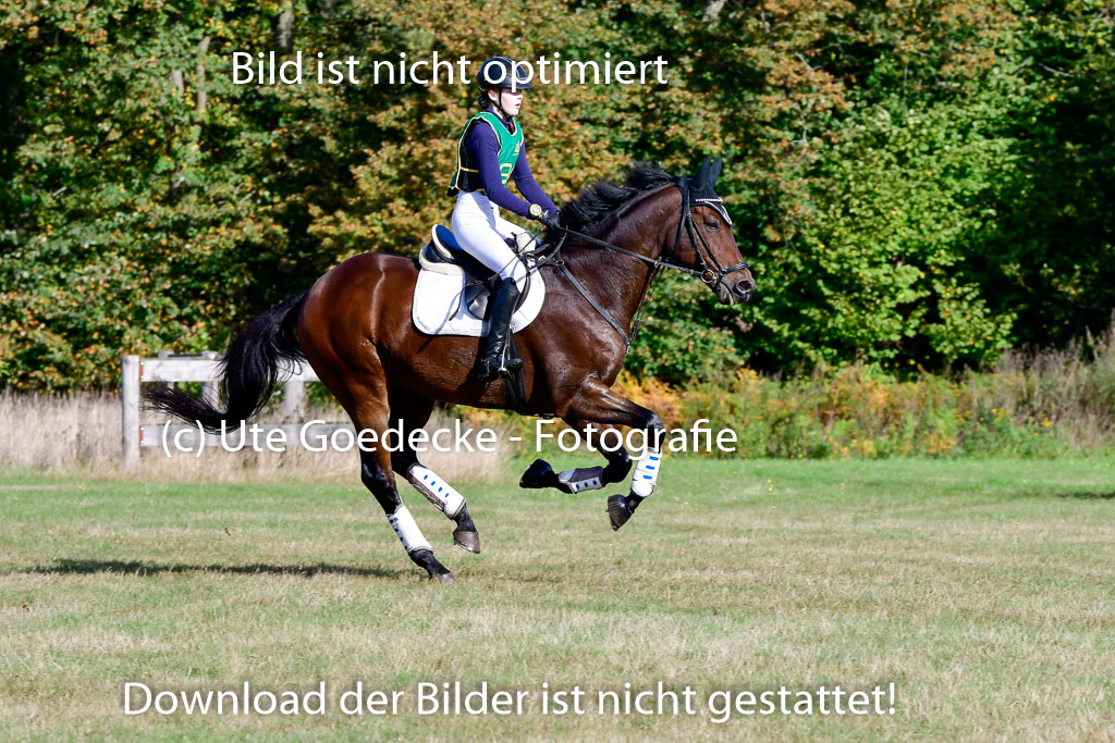  | 09102022 XC A++_798 