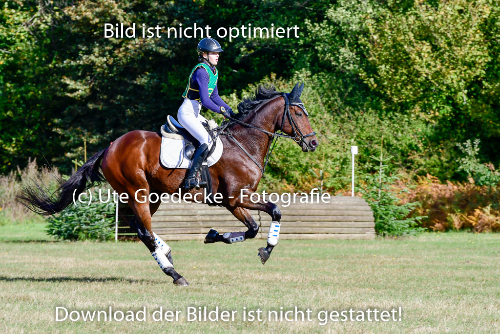  | 09102022 XC A++_800 