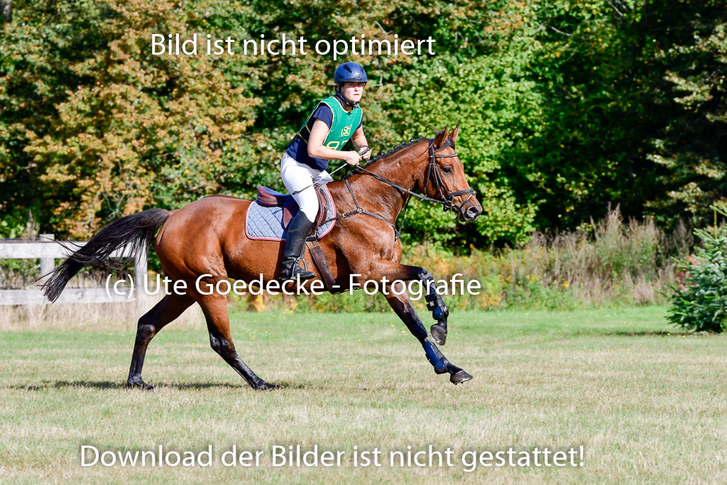  | 09102022 XC A++_831 