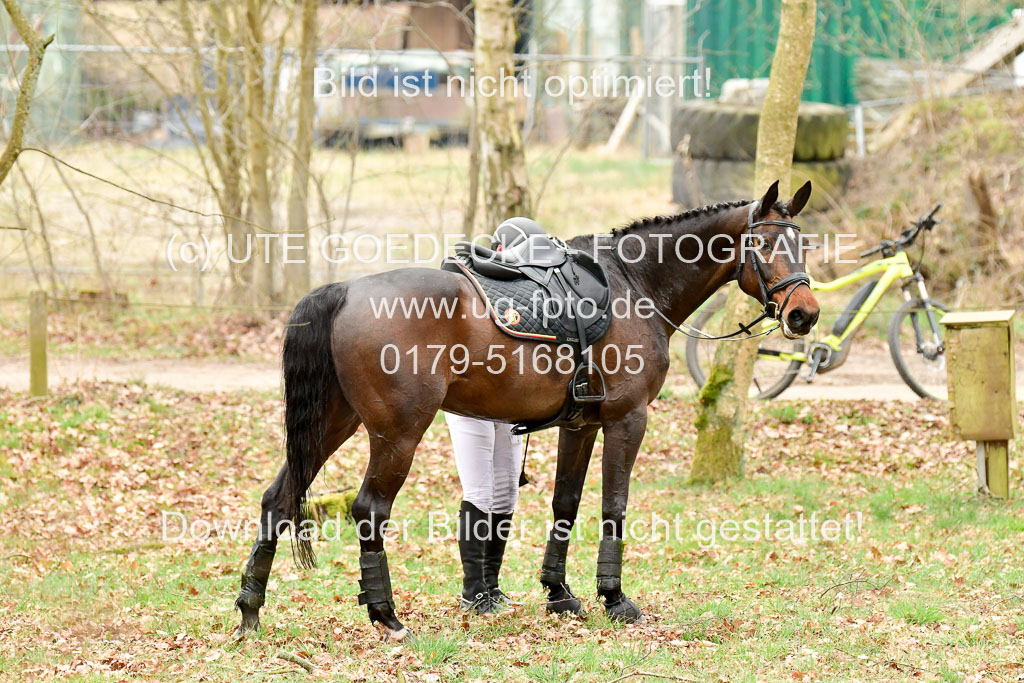  | Booin, Marten - Gravin von Cantus _33 