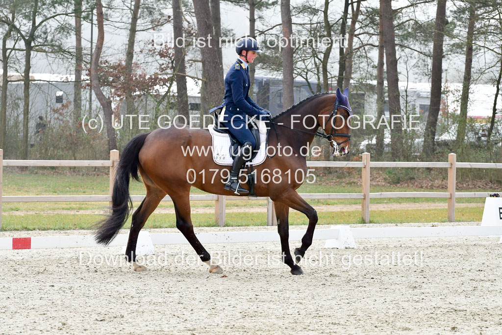  | Schäfer Gerau , Brandon 270322_01 