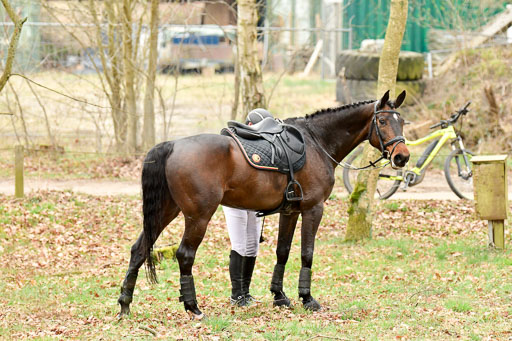  | Booin, Marten - Gravin von Cantus _33 