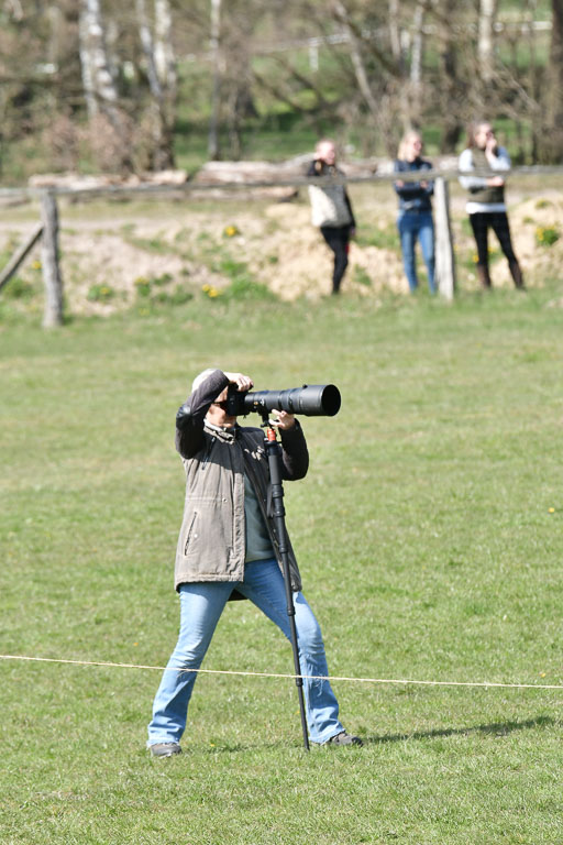 Luhmühlen CCI  23.4.22 | 230422-CCI++ Luhmühlen_1366 