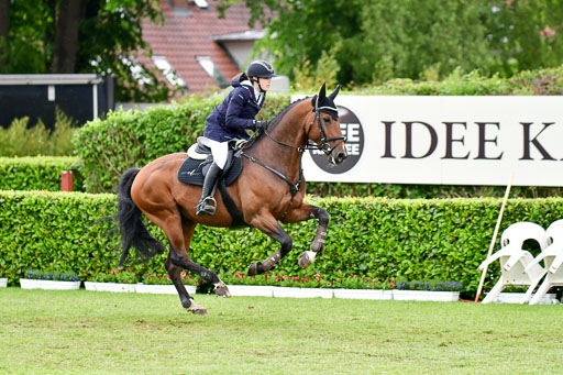 Deutsches Spring-und Dressur-Derby 2022 | 29052022 Spooks S-M-L Tour_174 