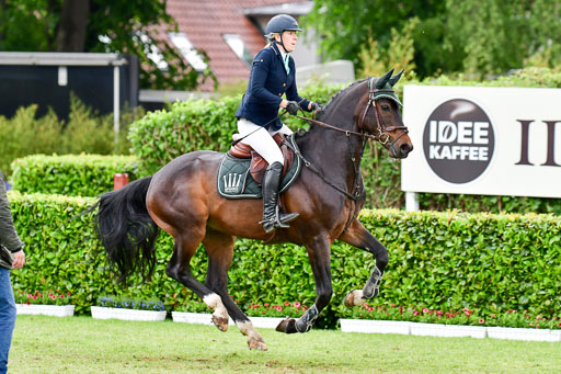 Deutsches Spring-und Dressur-Derby 2022 | 29052022 Spooks S-M-L Tour_295 