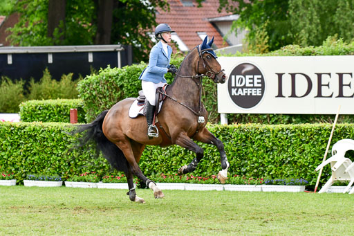 Deutsches Spring-und Dressur-Derby 2022 | 29052022 Spooks S-M-L Tour_308 