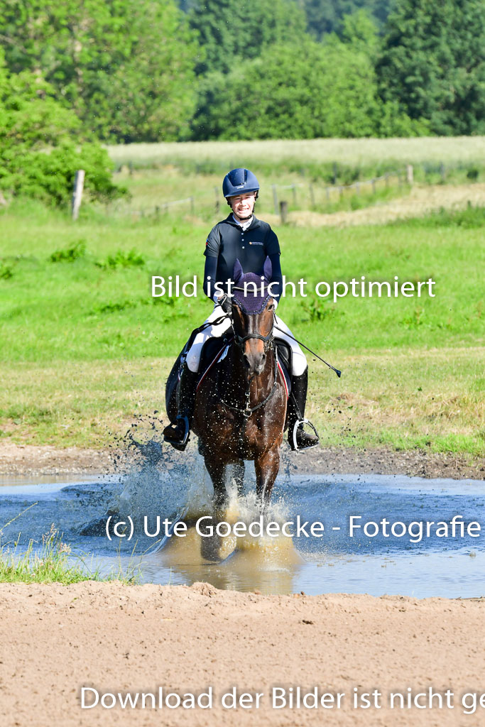 Goldene Schärpe PFerde  in Löningen  11+12.6.22 | 11062022 - Gelände 1 Abt_0004 