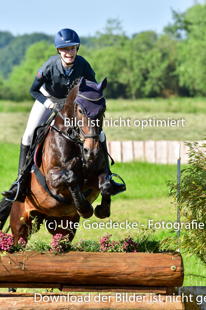 Goldene Schärpe PFerde  in Löningen  11+12.6.22 | 11062022 - Gelände 1 Abt_0009 