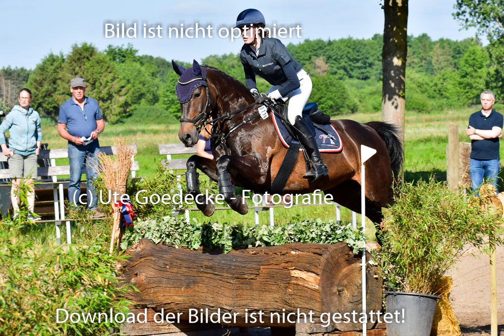 Goldene Schärpe PFerde  in Löningen  11+12.6.22 | 11062022 - Gelände 1 Abt_0013 