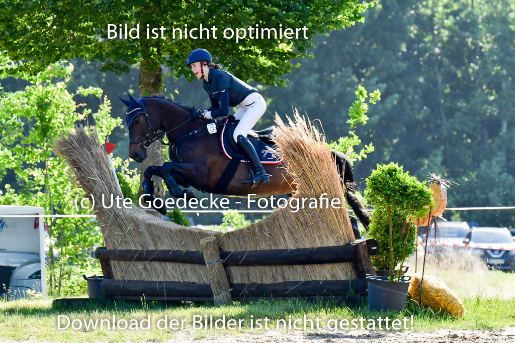 Goldene Schärpe PFerde  in Löningen  11+12.6.22 | 11062022 - Gelände 1 Abt_0014 
