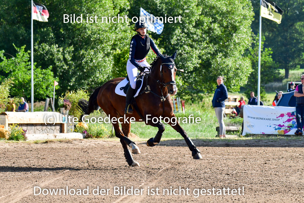 Goldene Schärpe PFerde  in Löningen  11+12.6.22 | 11062022 - Gelände 1 Abt_0020 