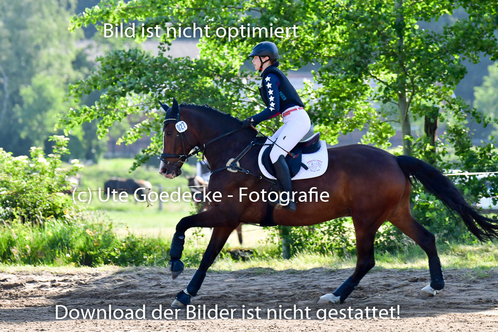 Goldene Schärpe PFerde  in Löningen  11+12.6.22 | 11062022 - Gelände 1 Abt_0023 