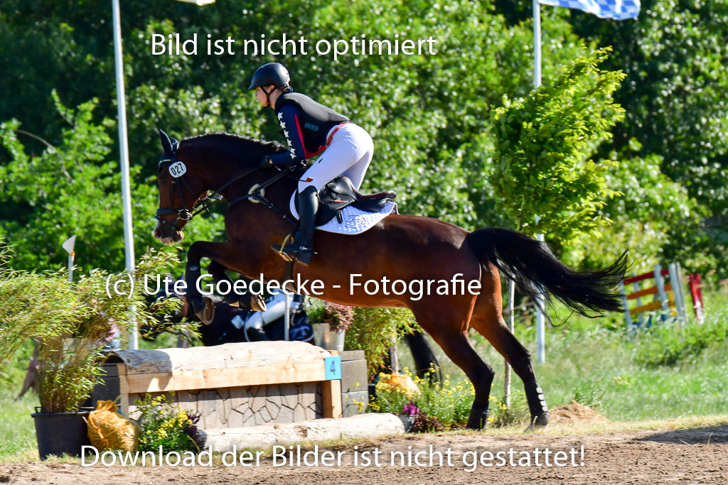 Goldene Schärpe PFerde  in Löningen  11+12.6.22 | 11062022 - Gelände 1 Abt_0024 