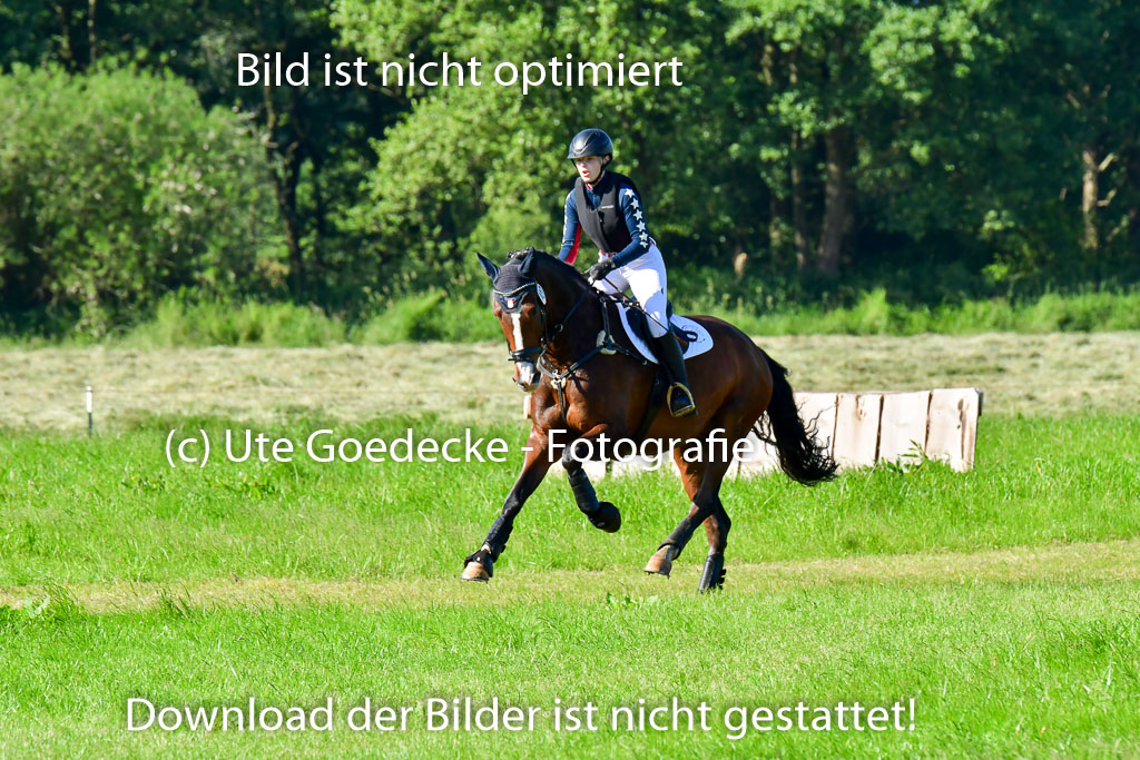 Goldene Schärpe PFerde  in Löningen  11+12.6.22 | 11062022 - Gelände 1 Abt_0027 