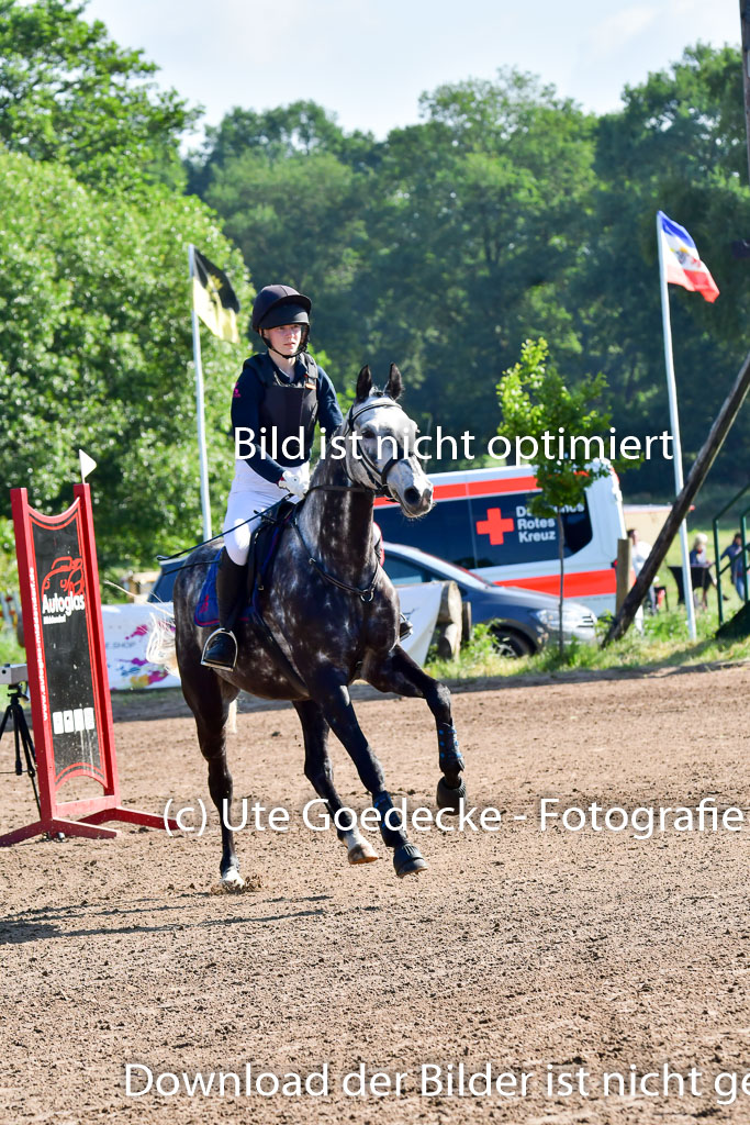 Goldene Schärpe PFerde  in Löningen  11+12.6.22 | 11062022 - Gelände 1 Abt_0034 