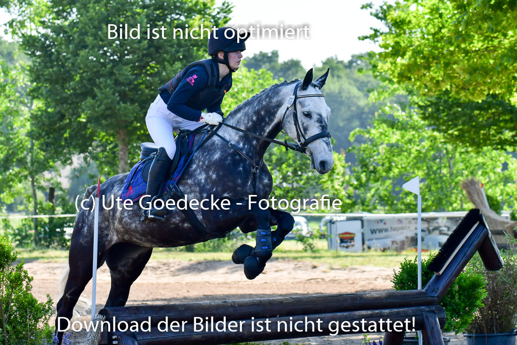 Goldene Schärpe PFerde  in Löningen  11+12.6.22 | 11062022 - Gelände 1 Abt_0035 