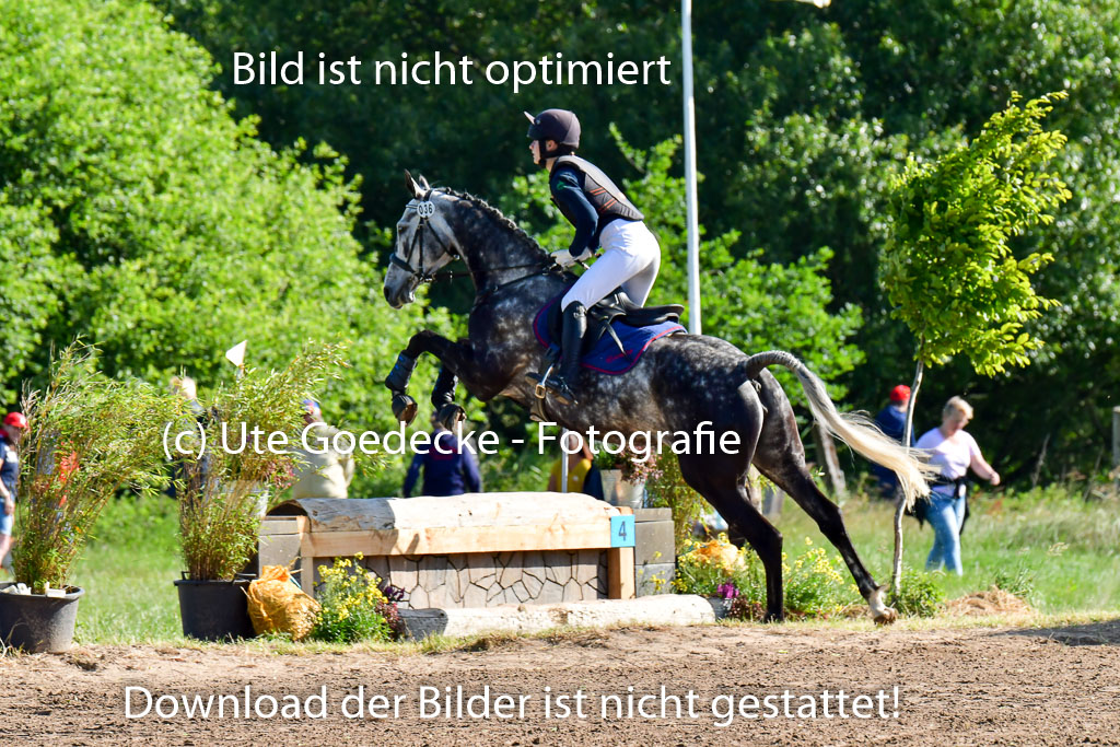 Goldene Schärpe PFerde  in Löningen  11+12.6.22 | 11062022 - Gelände 1 Abt_0036 