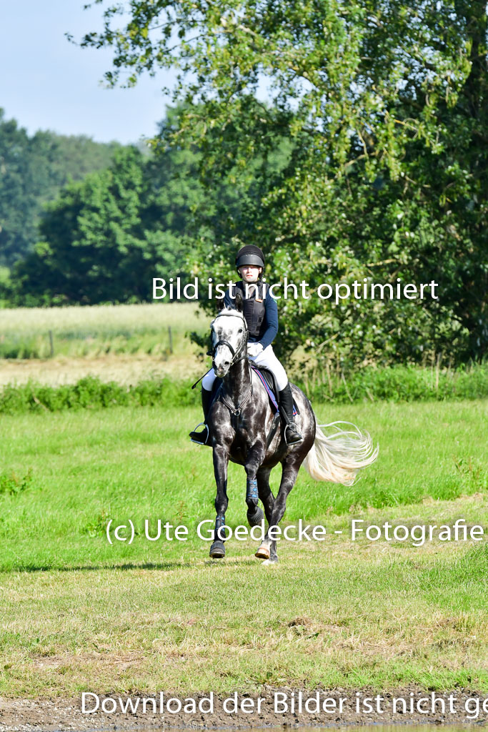 Goldene Schärpe PFerde  in Löningen  11+12.6.22 | 11062022 - Gelände 1 Abt_0037 