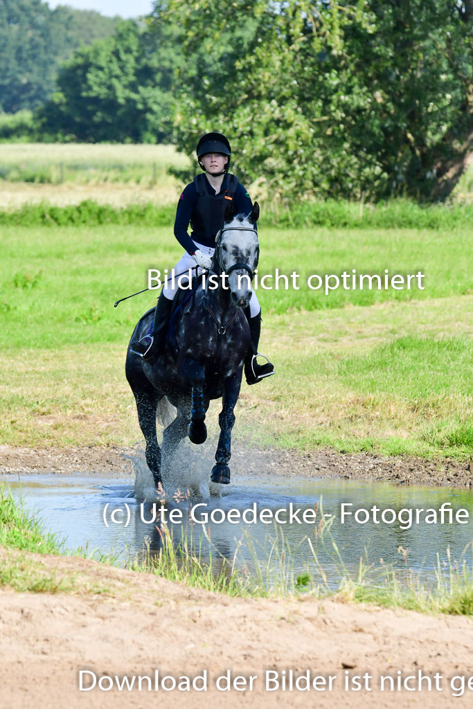 Goldene Schärpe PFerde  in Löningen  11+12.6.22 | 11062022 - Gelände 1 Abt_0038 