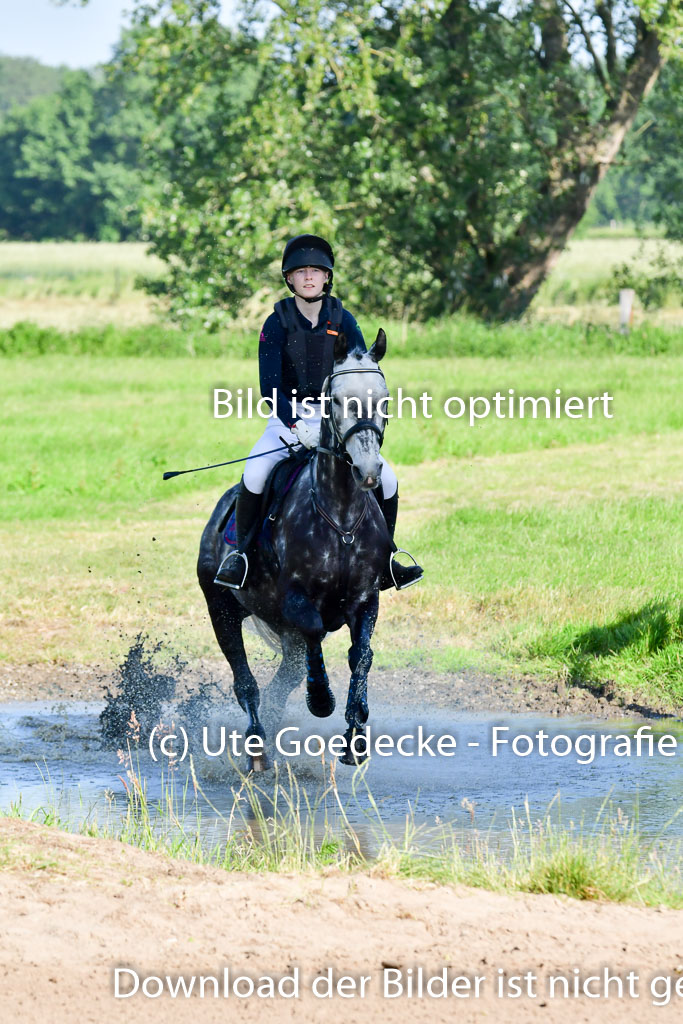 Goldene Schärpe PFerde  in Löningen  11+12.6.22 | 11062022 - Gelände 1 Abt_0040 