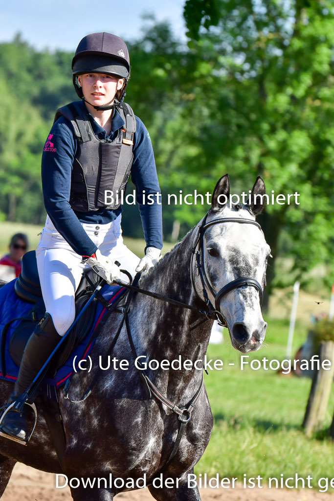 Goldene Schärpe PFerde  in Löningen  11+12.6.22 | 11062022 - Gelände 1 Abt_0044 
