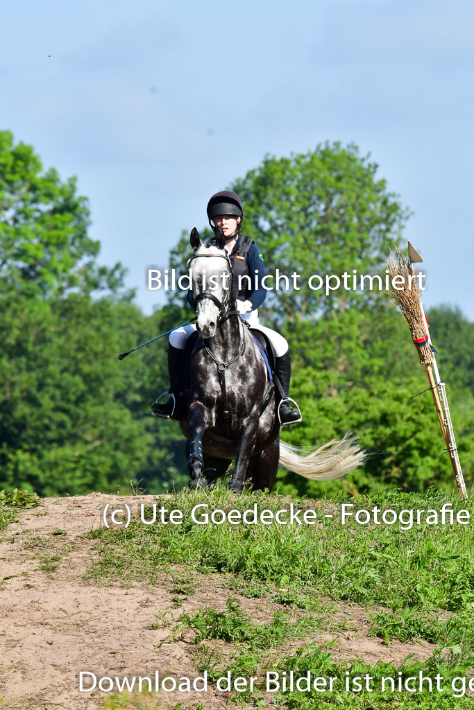 Goldene Schärpe PFerde  in Löningen  11+12.6.22 | 11062022 - Gelände 1 Abt_0048 