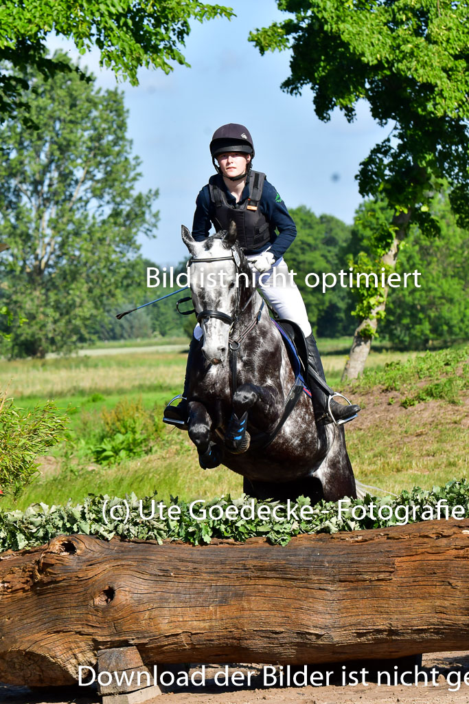 Goldene Schärpe PFerde  in Löningen  11+12.6.22 | 11062022 - Gelände 1 Abt_0050 