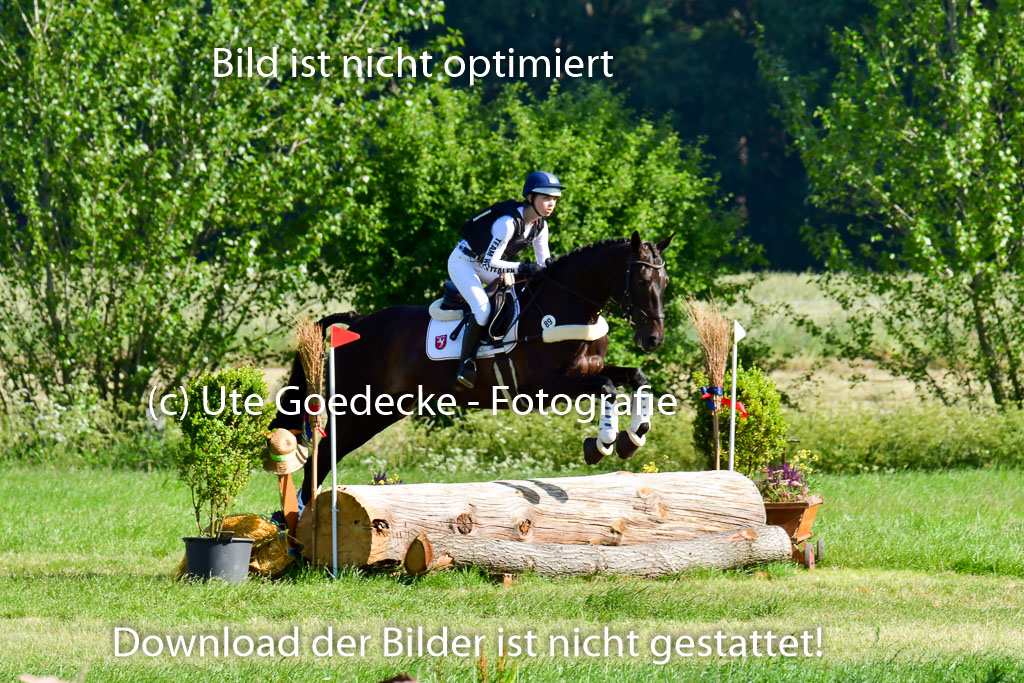 Goldene Schärpe PFerde  in Löningen  11+12.6.22 | 11062022 - Gelände 1 Abt_0055 