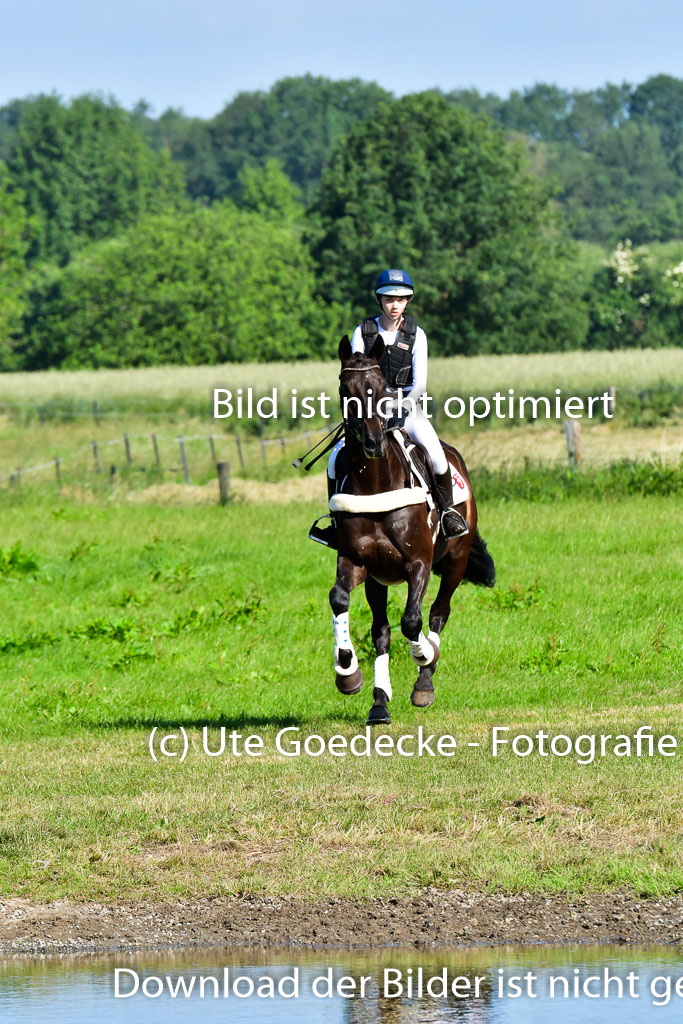 Goldene Schärpe PFerde  in Löningen  11+12.6.22 | 11062022 - Gelände 1 Abt_0057 