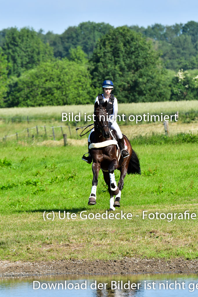 Goldene Schärpe PFerde  in Löningen  11+12.6.22 | 11062022 - Gelände 1 Abt_0058 