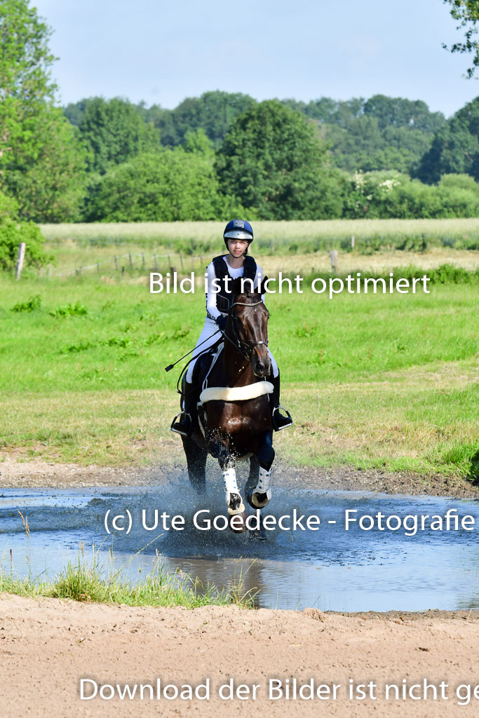 Goldene Schärpe PFerde  in Löningen  11+12.6.22 | 11062022 - Gelände 1 Abt_0060 