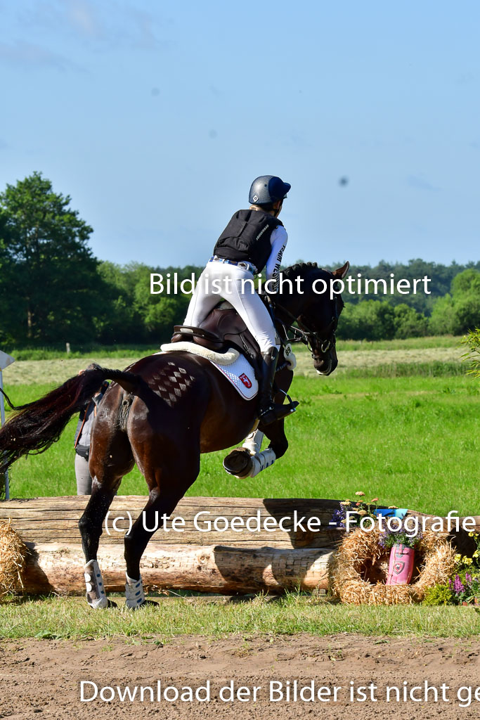 Goldene Schärpe PFerde  in Löningen  11+12.6.22 | 11062022 - Gelände 1 Abt_0066 
