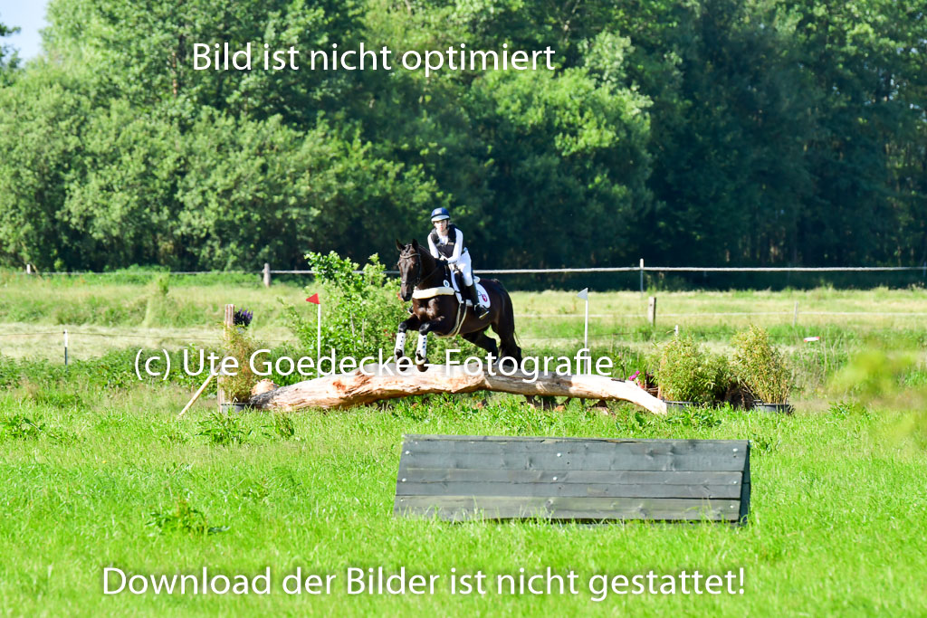 Goldene Schärpe PFerde  in Löningen  11+12.6.22 | 11062022 - Gelände 1 Abt_0067