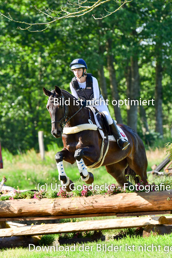 Goldene Schärpe PFerde  in Löningen  11+12.6.22 | 11062022 - Gelände 1 Abt_0069 