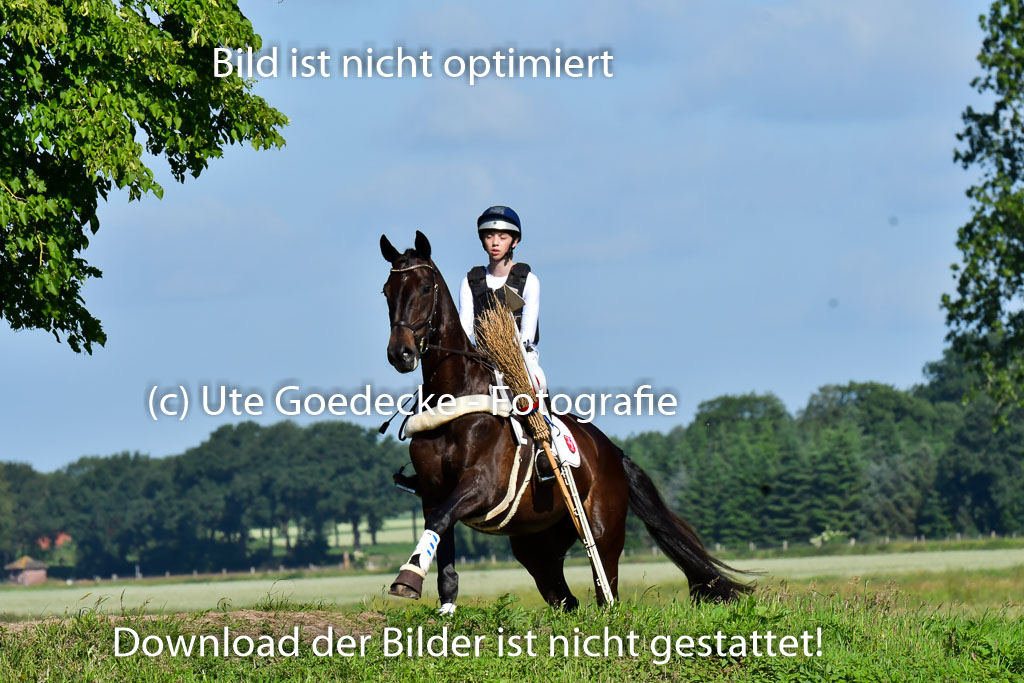 Goldene Schärpe PFerde  in Löningen  11+12.6.22 | 11062022 - Gelände 1 Abt_0070 
