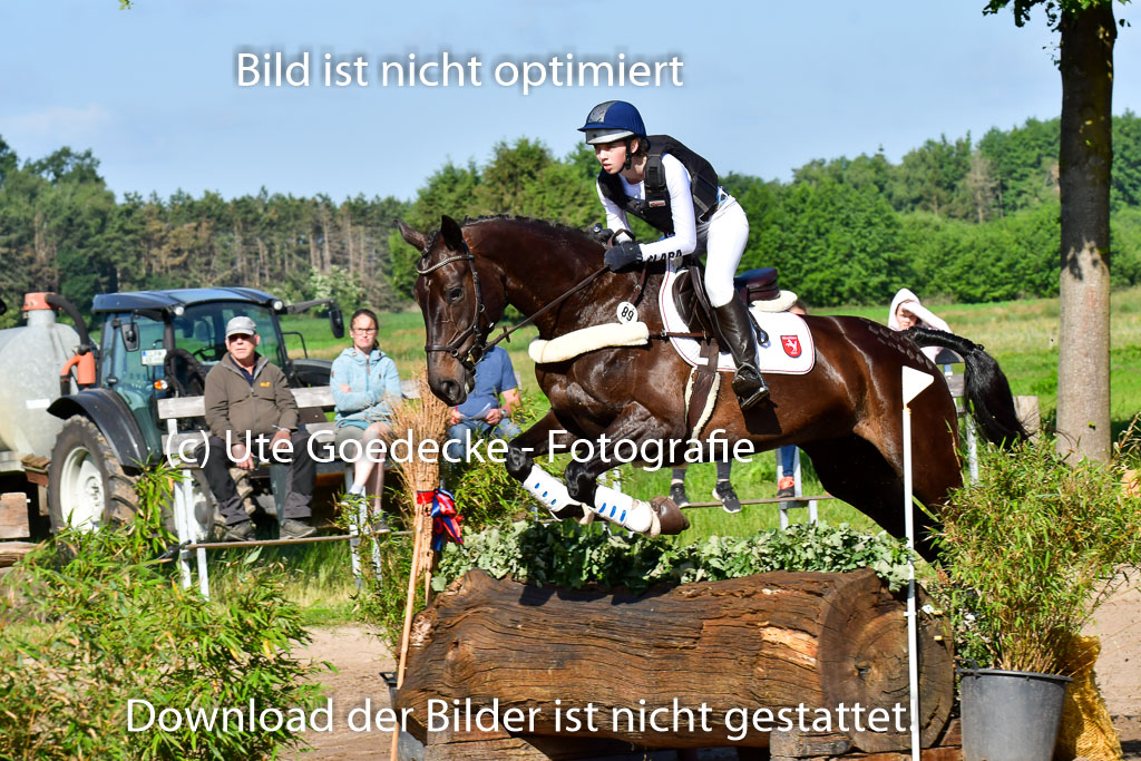 Goldene Schärpe PFerde  in Löningen  11+12.6.22 | 11062022 - Gelände 1 Abt_0073 