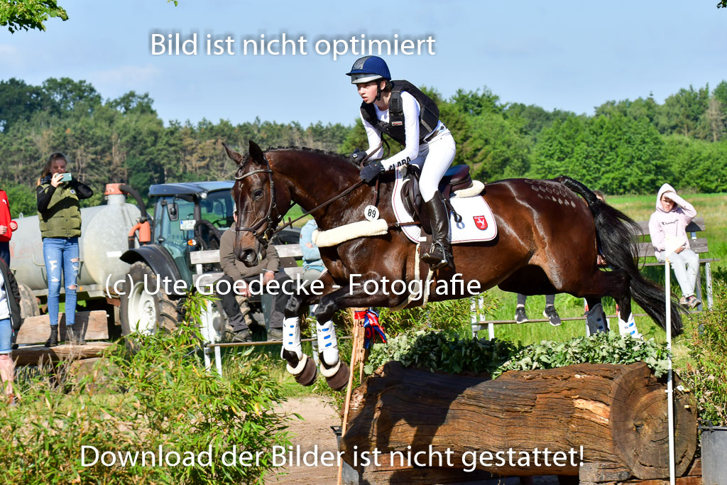 Goldene Schärpe PFerde  in Löningen  11+12.6.22 | 11062022 - Gelände 1 Abt_0074 
