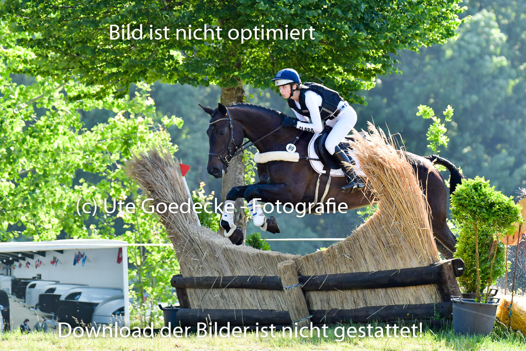Goldene Schärpe PFerde  in Löningen  11+12.6.22 | 11062022 - Gelände 1 Abt_0076 